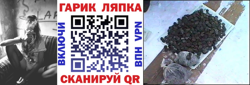 ГАШ Изолятор  купить наркотики сайты  Удомля 