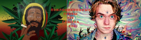 дмт Новодвинск