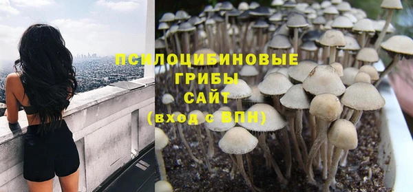 mdpv Няндома