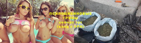 spice Новозыбков