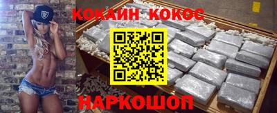 стаф Гай