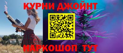 стаф Гай