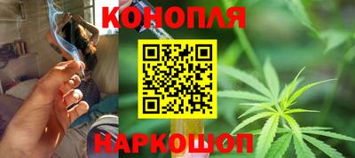 сатива Гагарин