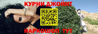 стаф Гай
