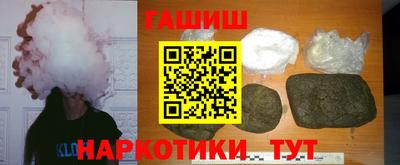 стаф Гай