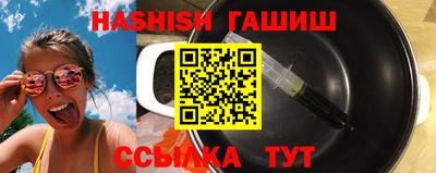 стаф Гай