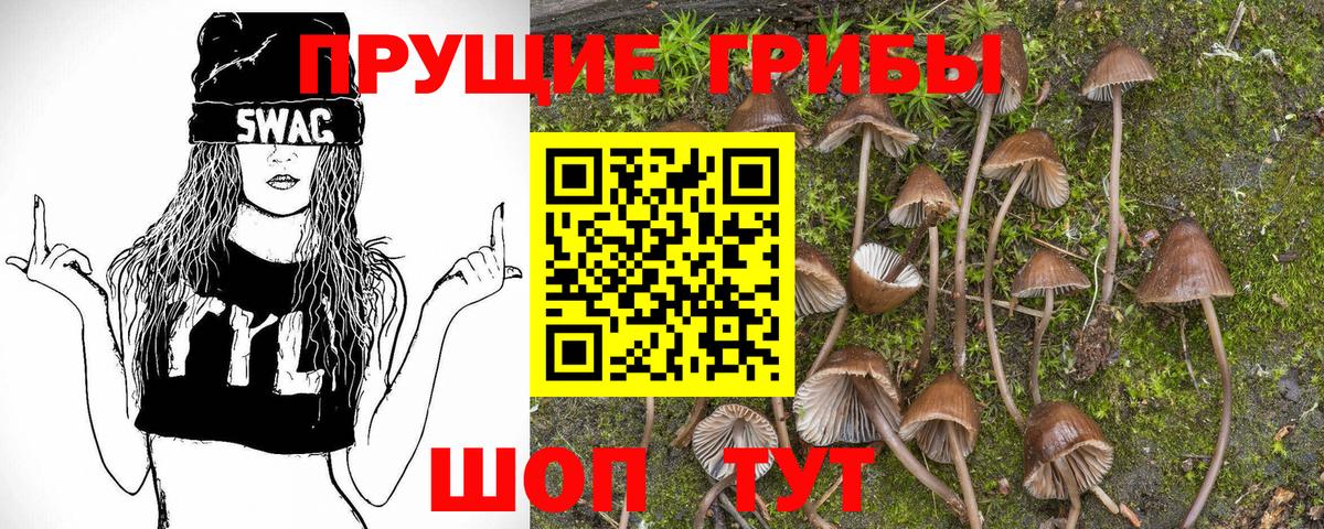 Галлюциногенные грибы Psilocybe  наркотики  Удомля 