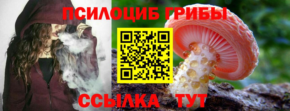 Удомля  Псилоцибиновые грибы мухоморы  Вход с VPN  где купить наркотик  Галлюциногенные грибы ЛСД 